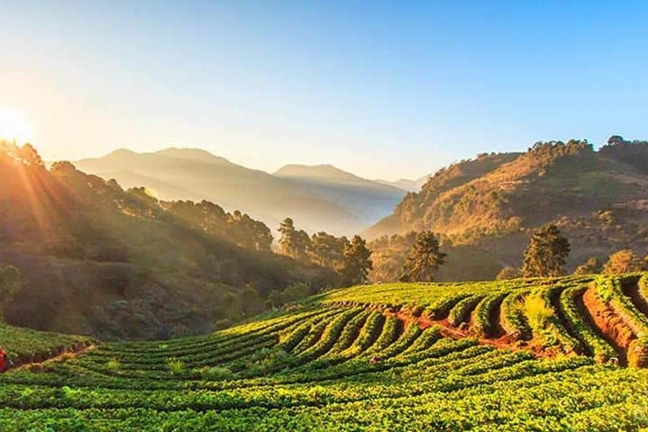 Doi Inthanon Summit Tour: Thailand’s Highest Peak, Waterfalls & Hill-Tribe Villages photo 4