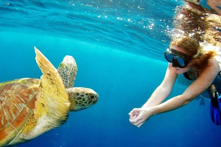 Surin Islands Snorkeling Day Trip from Phuket — Sea Turtles, Moken Village & Clear Water