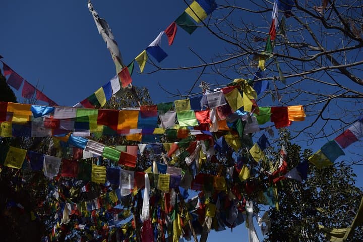 Namo Buddha & Thrangu Tashi Yangtse: Half-Day Views, Monasteries & Village Life photo 2