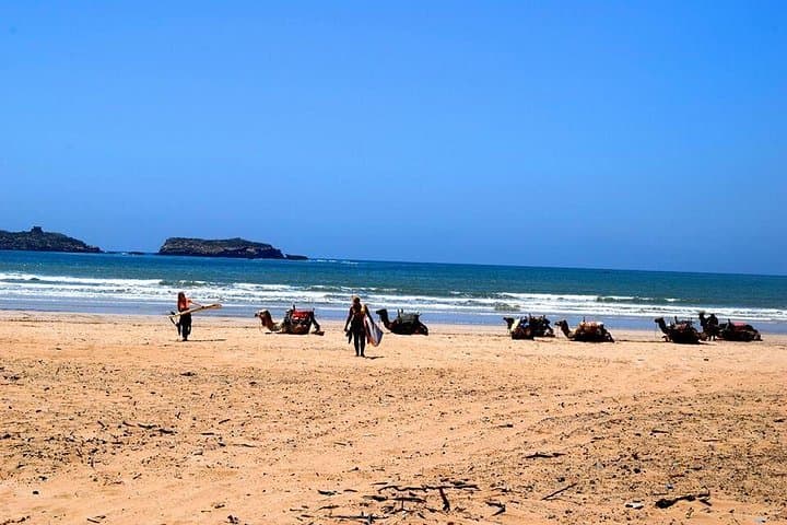 Full-Day Essaouira Surf Trip from Marrakesh: Lessons, Lunch & Old-Port Culture photo 3
