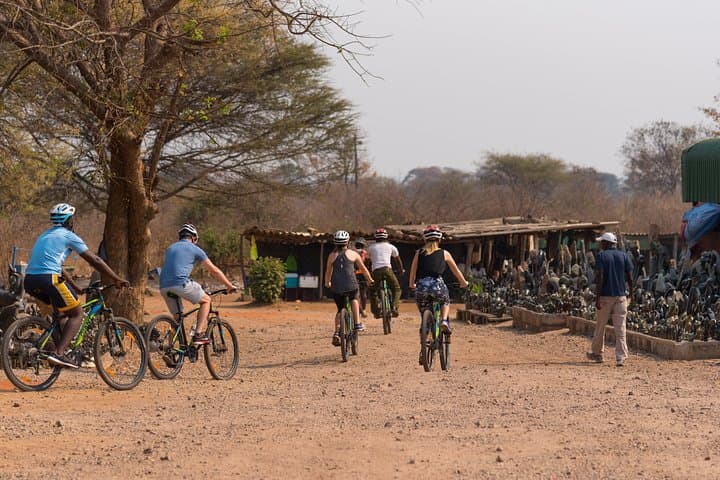 Victoria Falls Bike Tour: Zambezi River, Big Tree & Batoka Gorges with Wild Horizons photo 6