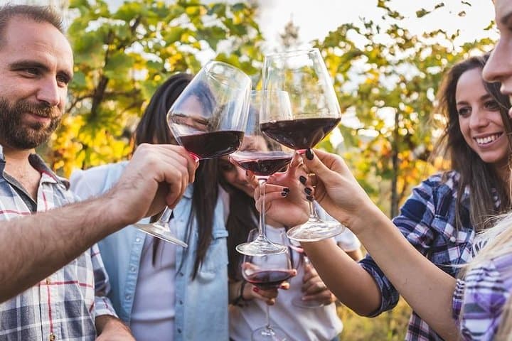 Private Chianti Wine Tasting Day Trip from Florence — Wineries, Lunch & Hilltop Village photo 2