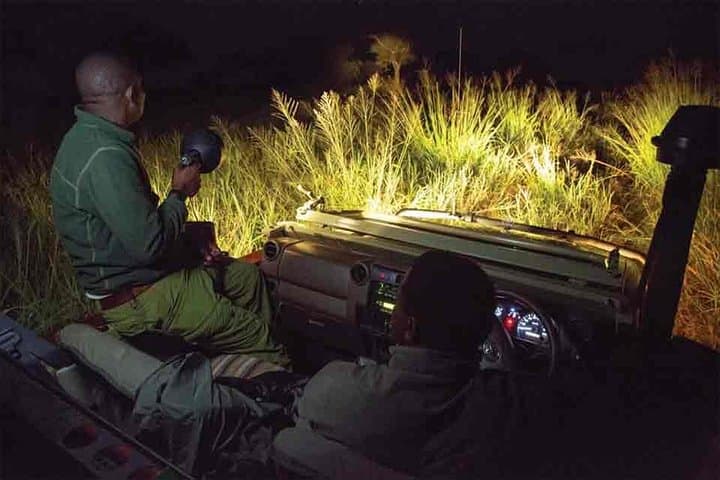 Night Game Drive & Bush Dinner near Victoria Falls — After-Dark Safari in Zimbabwe photo 2