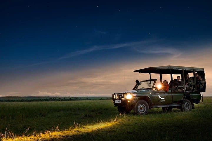 Night Game Drive & Bush Dinner near Victoria Falls — After-Dark Safari in Zimbabwe photo 4
