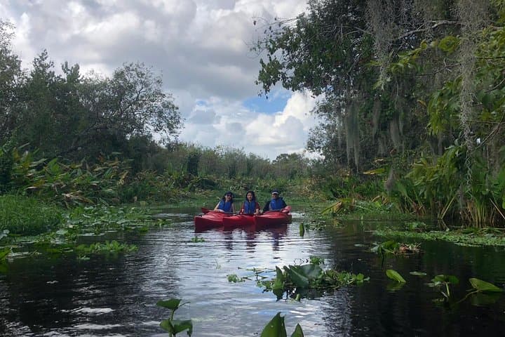 Blue Spring Manatee Kayak: Paddle Among Florida’s Sea Cows photo 2