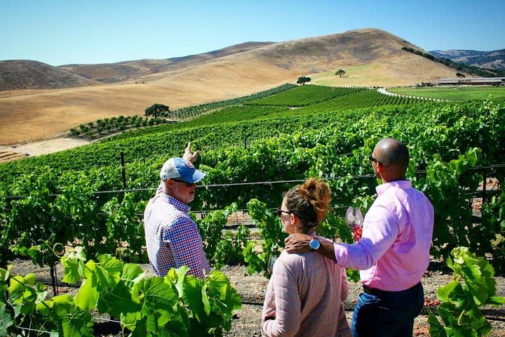 Private Wine Tour Santa Barbara: Small-Group Tastings & Vineyard Access photo 3