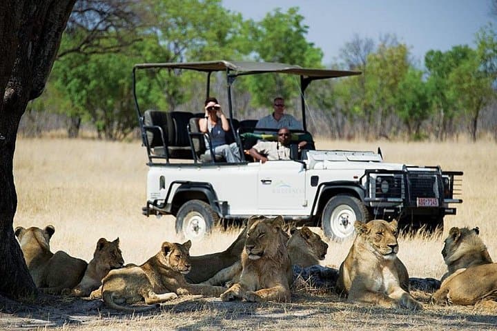 Chobe Safari & Victoria Falls Sunrise: Full-Day Game Drive and Boat Cruise Combo photo 4