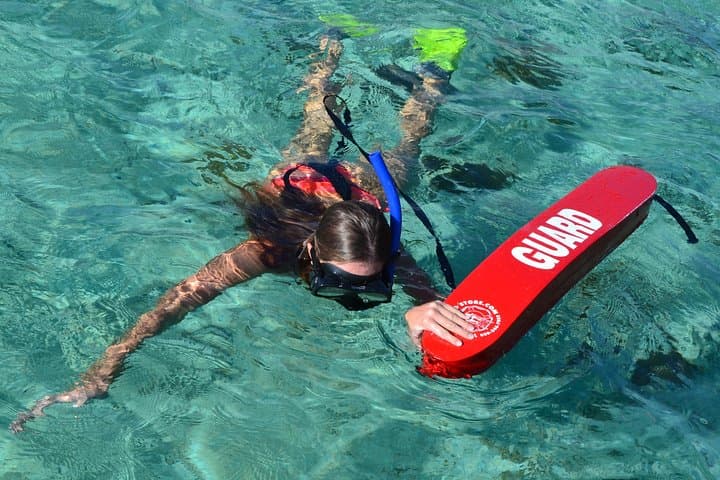 2-Hour Dolphin Swimming Excursion in Tamarin Bay, Mauritius photo 5