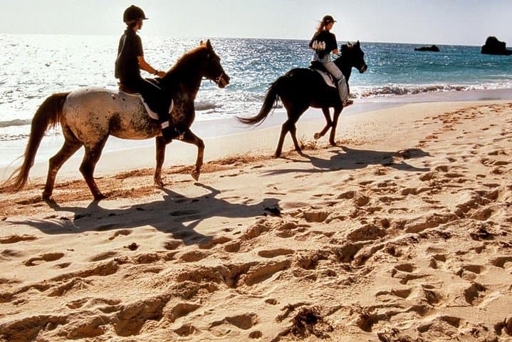 Krabi Beach Horse Riding: Ao Nam Mao 1-Hour Horseback Tour with Transfers