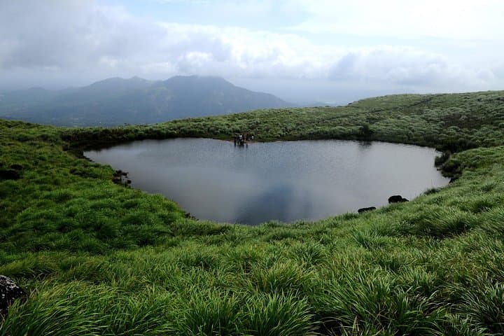 7-Day Karnataka–Kerala Nature Tour: Mysore, Wayanad, Munnar & Alleppey photo 5