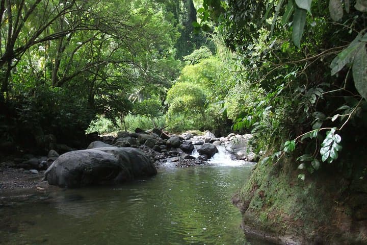 North Martinique Day Tour: Rainforest Waterfall, Rum & Saint-Pierre Ruins photo 4