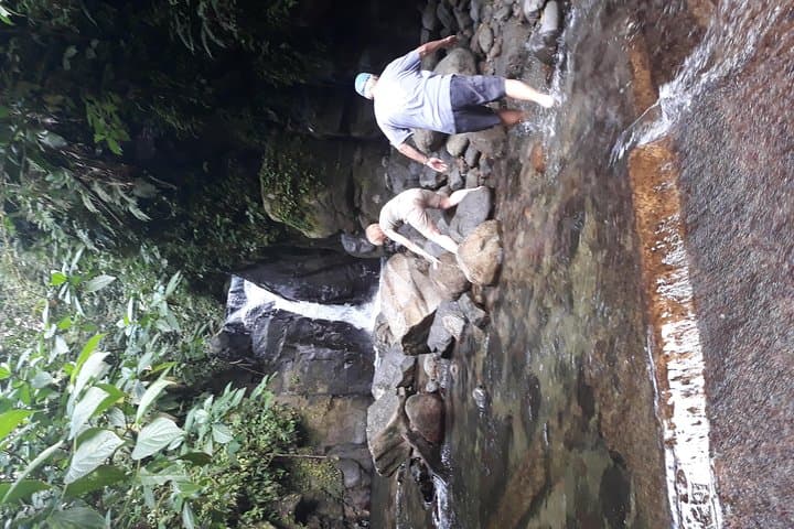 North Martinique Day Tour: Rainforest Waterfall, Rum & Saint-Pierre Ruins photo 5