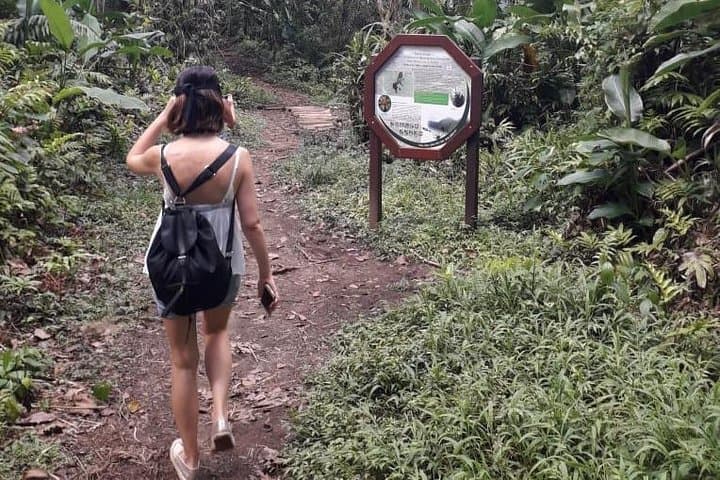 North Martinique Day Tour: Rainforest Waterfall, Rum & Saint-Pierre Ruins photo 6