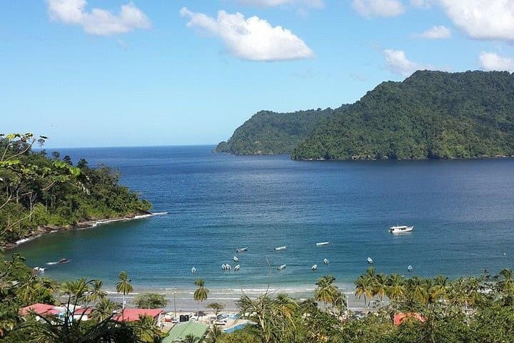 Maracas Beach Day Trip: North Coast Drive, Swim & Famous Bake-and-Fish photo 4