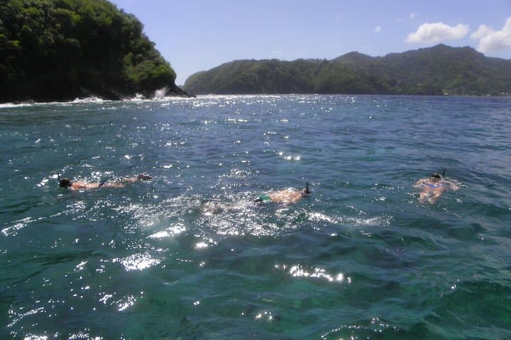 Tobago Buccoo Reef & Nylon Pool Glass-Bottom Boat Cruise — Scarborough Day Tour photo 6