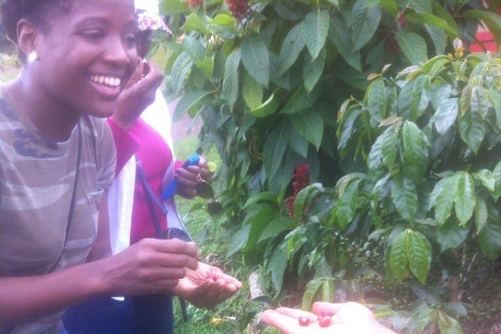 Private Full-Day Coffee Tour to Palmitas Farm from Medellín — Farm-to-Cup Coffee Experience photo 5