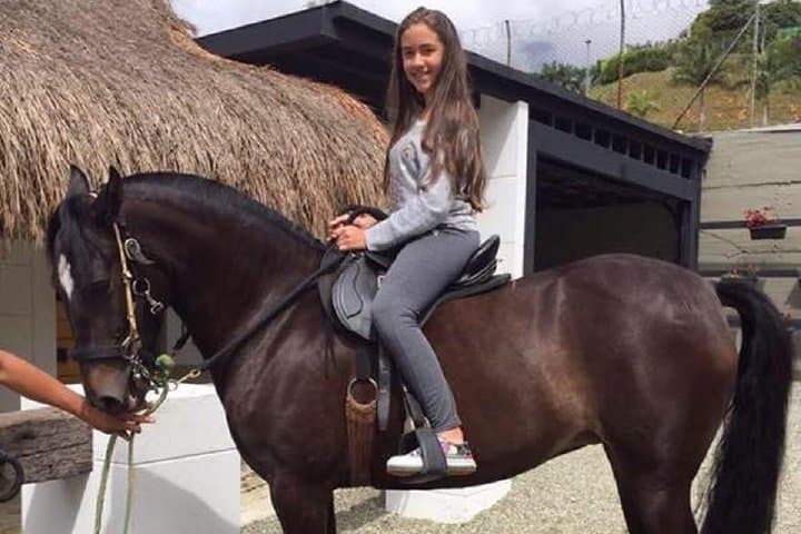 Medellín Horseback Ride and Christmas Lights Combo Tour photo 3