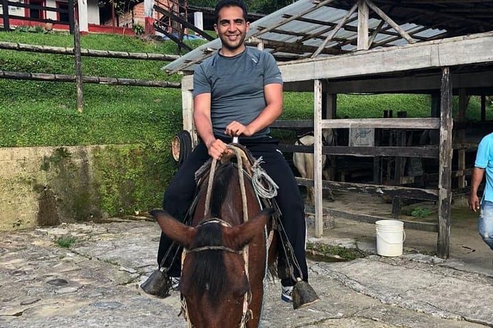 Medellín Horseback Ride and Christmas Lights Combo Tour photo 4