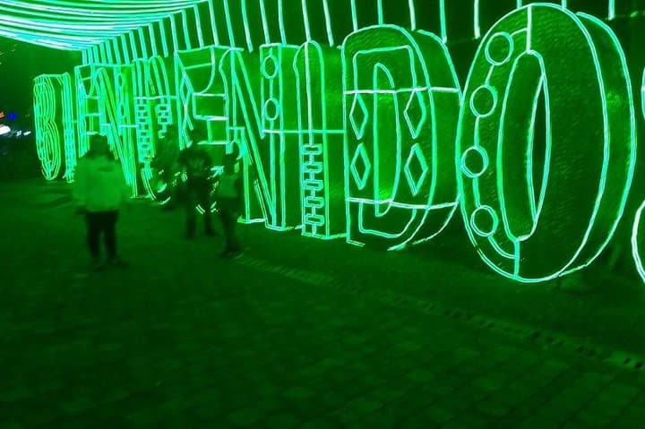 Medellín Horseback Ride and Christmas Lights Combo Tour photo 6