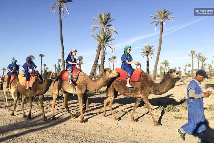 Marrakech Half-Day Desert Quad and Camel Tour — Palmeraie Quads & Dromedary Ride photo 3