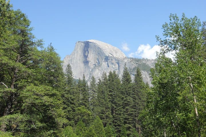 Day Trip to Yosemite from Lake Tahoe: Small-Group Guided Tour to Yosemite Valley photo 3