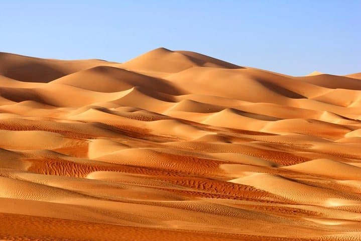 Dawn Dunes: Morning Desert Safari and Camel Ride in Dubai photo 2