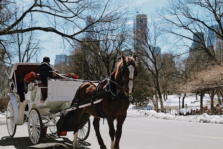 Central Park Private Guided Walking Tour: Iconic Sights & Stories (2.5 hr) photo 3