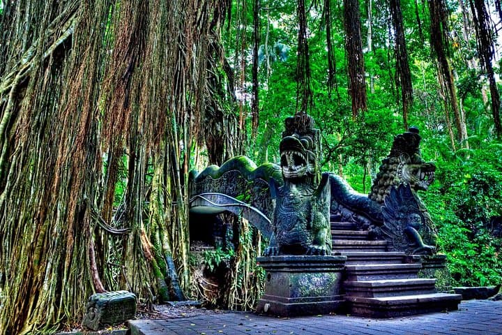 All of Ubud: Monkey Forest, Volcano Views, Temples & Tegalalang Rice Terraces photo 3