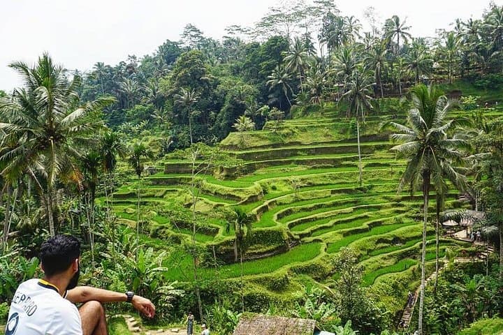 Bali Full-Day Wonders: Ubud, Mount Batur & Tegalalang Sightseeing with Lunch photo 4
