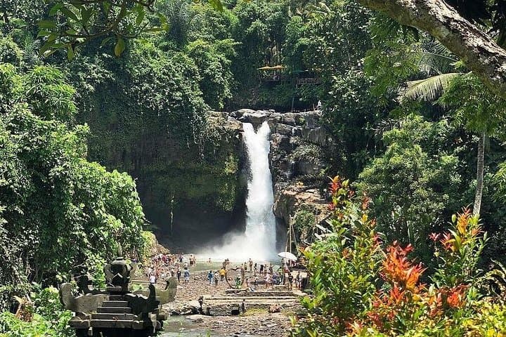 Bali Full-Day Wonders: Ubud, Mount Batur & Tegalalang Sightseeing with Lunch photo 2