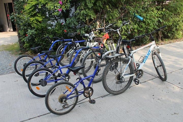 Half-Day Lanna Countryside Cycling Tour Chiang Mai: Rice Fields & Village Life photo 5