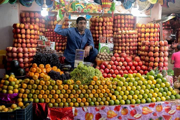 7-Day Karnataka–Kerala Nature Tour: Mysore, Wayanad, Munnar & Alleppey photo 2