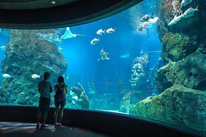 Sea Life Bangkok Aquarium Admission with Private Transfer photo 4