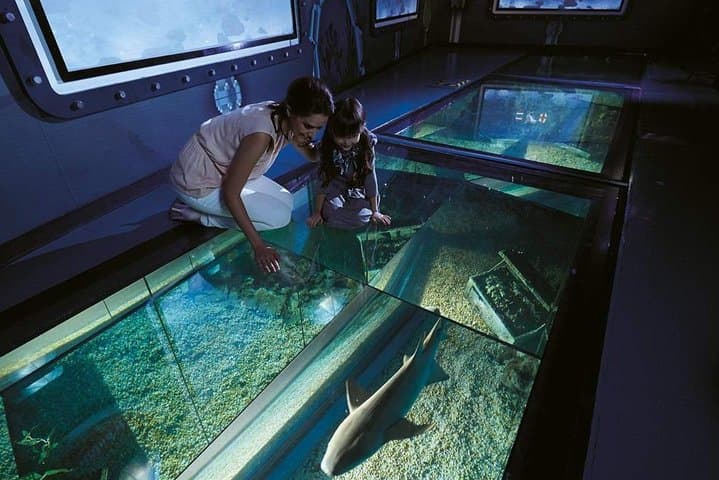 Sea Life Bangkok Aquarium Admission with Private Transfer photo 5