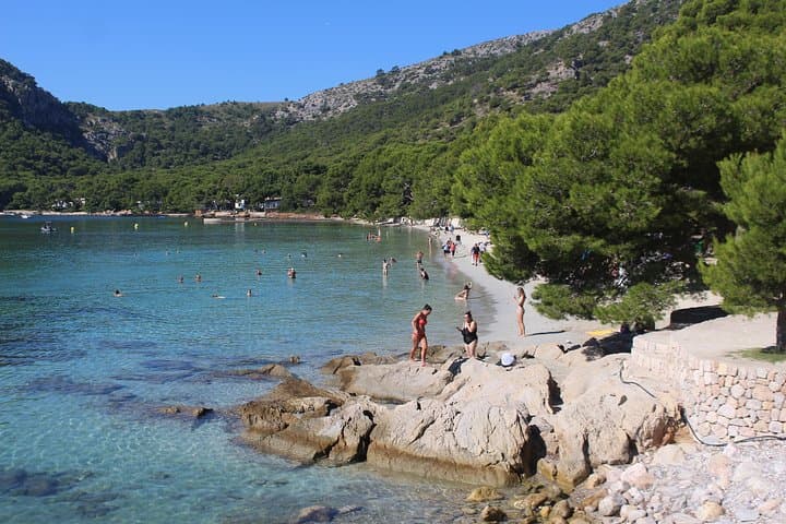 Formentor Coastal Drive, Boat Trip and Local Market Day Tour photo 2