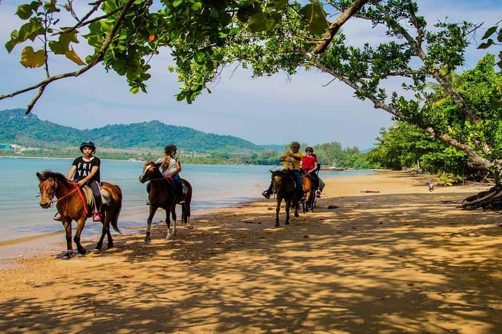 Krabi Beach Horse Riding: Ao Nam Mao 1-Hour Horseback Tour with Transfers photo 3