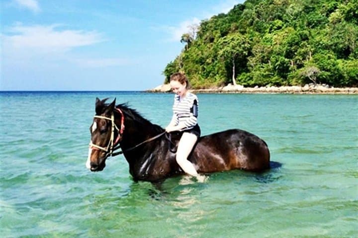 Krabi Beach Horse Riding: Ao Nam Mao 1-Hour Horseback Tour with Transfers photo 5