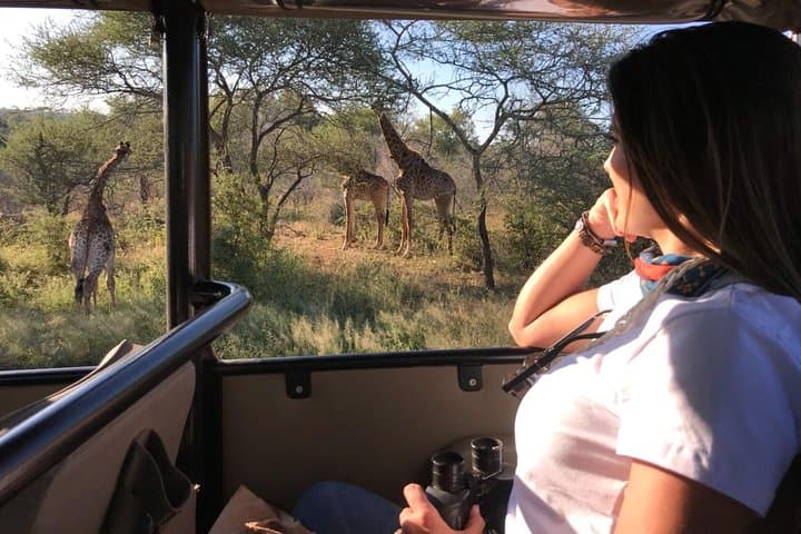 Full-Day Kruger Safari: Big Five Game Drive from Mpumalanga photo 5