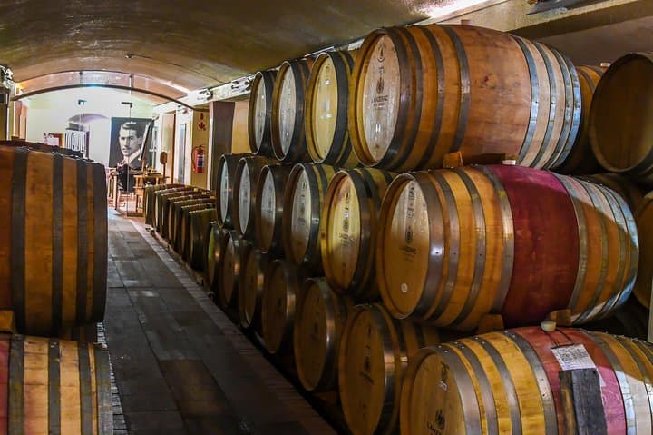 Pedaling Stellenbosch: A Guided Bike Tour Through Vineyards, History, and Jonkershoek Valley photo 5