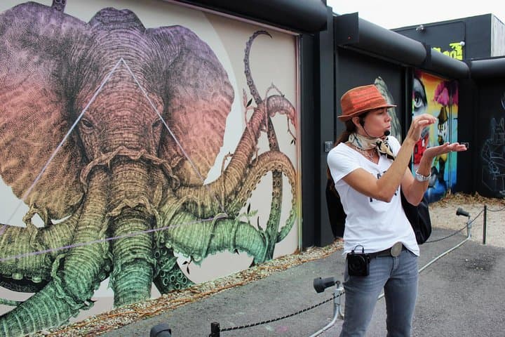 Wynwood Food & Art Walking Tour: Taste Miami Street Art & Local Flavors photo 6