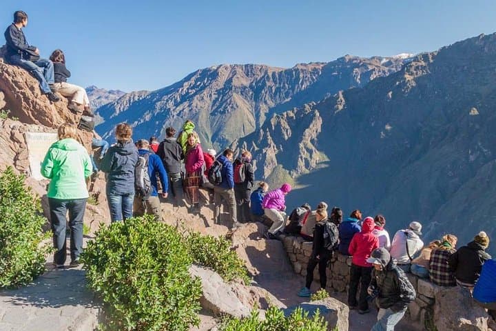 Colca Canyon Full-Day from Arequipa: Condor Viewpoints, Hot Springs & Colonial Towns