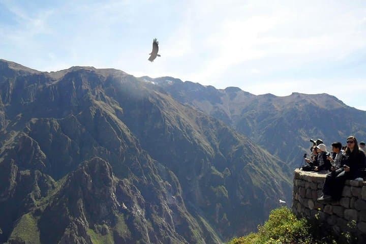 Colca Full Day Tour: Cruz del Cóndor, Vicuñas & High-Altitude Viewpoints photo 5