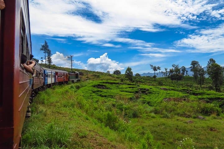 Nuwara Eliya by Train and Car: 2-Day Tea Country Journey from Badulla to Kandy photo 2