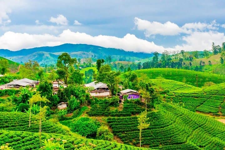 Nuwara Eliya by Train and Car: 2-Day Tea Country Journey from Badulla to Kandy photo 5