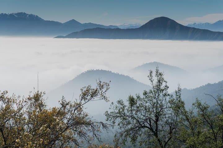 La Campana Day Hike: Private Coastal Mountains Tour from Santiago photo 4