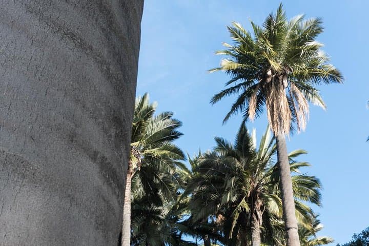 La Campana Day Hike: Private Coastal Mountains Tour from Santiago photo 3