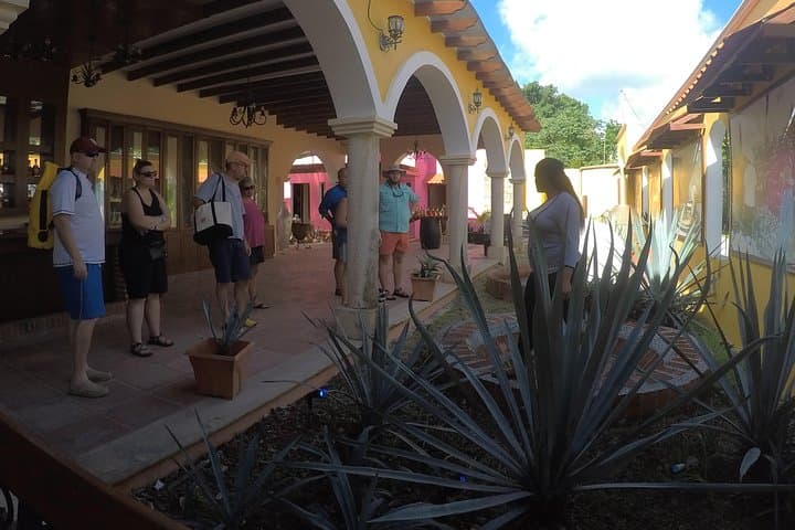 Skip the Line to El Cedral: Cozumel’s Oldest Mayan Site and Feria photo 5
