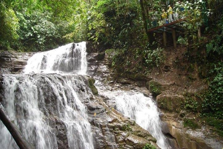 Veragua Rainforest Tram and Tortuguero Canal Day Tour from Puerto Limón