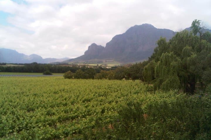 Private Cape Winelands Tour from Cape Town — Stellenbosch & Franschhoek Wine Tasting