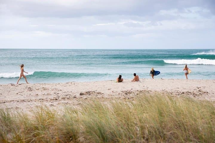 Half-Day Tauranga Shore Excursion — Mount Maunganui, Kiwifruit & Waterfalls photo 3